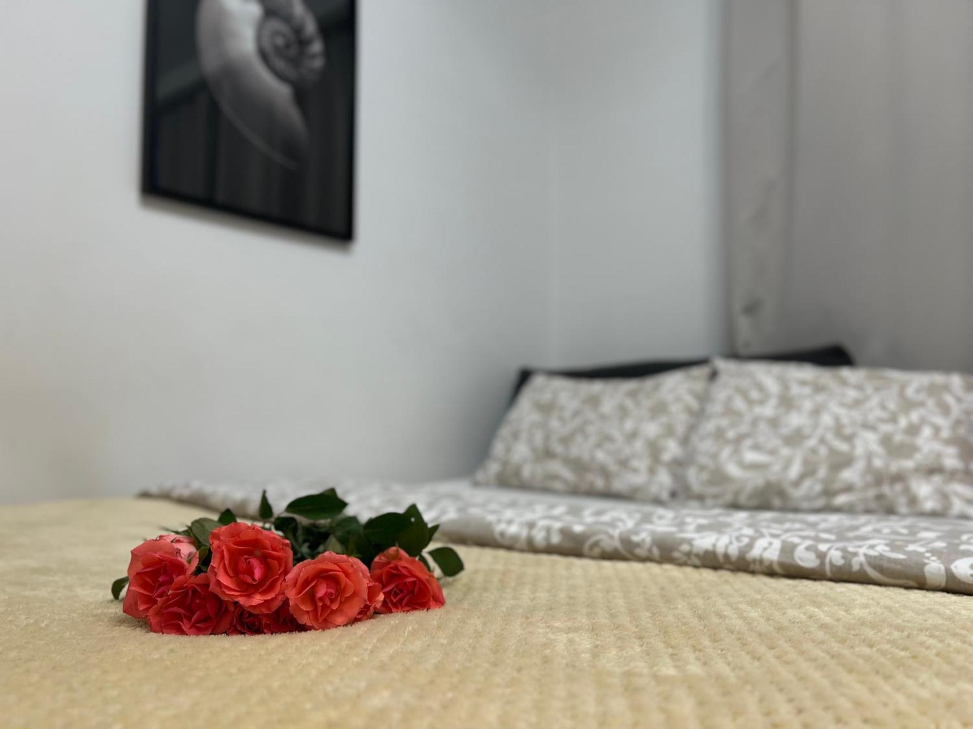 Parkcity Bogucice Karoliny Katowice Ngoại thất bức ảnh
